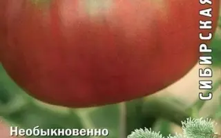 САЛАТНАЯ НАХОДКА