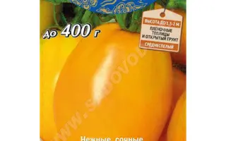 ЗОЛОТО ВОСТОКА