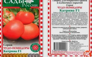 ЗАРЯ ПОДМОСКОВЬЯ