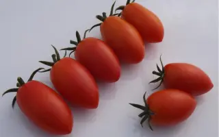 РИО БАМБИНО