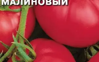 БЕГЕМОТ МАЛИНОВЫЙ