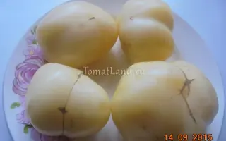 БЕЛЫЙ ЛОТОС