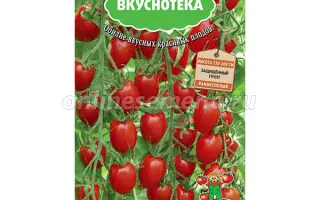 СЛАДКИЙ ФОНТАН