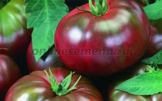 ЗЕФИР В ШОКОЛАДЕ