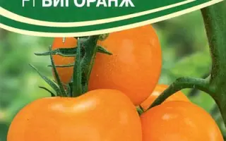 БИГОРАНЖ