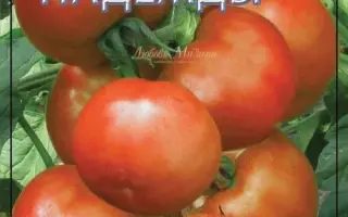 ОЗЕРО НАДЕЖДЫ