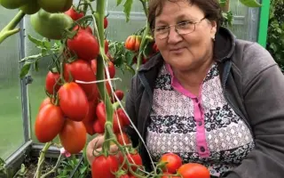 ЦАРЕВНА-ЛЕБЕДЬ