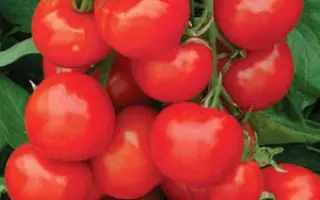 ЧЕЛЯБИНСКИЙ МЕТЕОРИТ