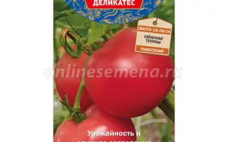 КИТАЙСКИЙ СУВЕНИР