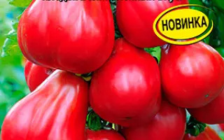 МАЛИНОВЫЙ СИЛАЧ