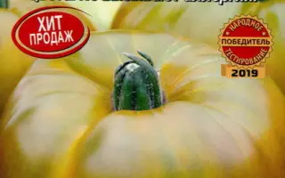 РОМОВАЯ БАБА