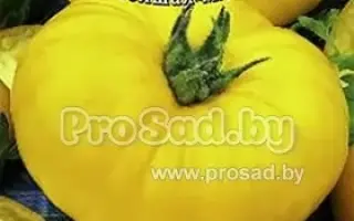 ИСКУСИТЕЛЬ