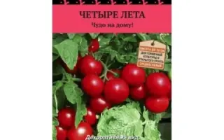 КРАСНАЯ РОССЫПЬ