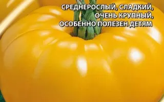 ЖЕЛТЫЙ ВЕЛИКАН
