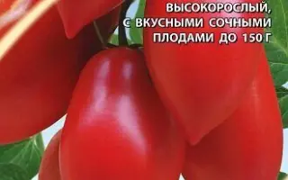 СИЦИЛИЙСКИЙ ПЕРЧИК