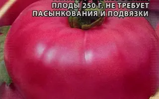 МАЛИНОВЫЙ ВИКОНТЕ