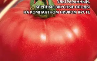 КРАСНЫЙ ПЕТУХ