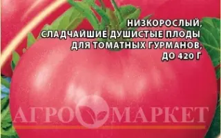 РОЗОВЫЙ РАССВЕТ