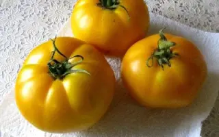 СЮРПРИЗ ЖЕЛТЫЙ