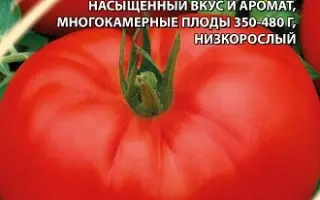 РУССКИЕ ЧАСТУШКИ