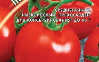 НАХИМОВ