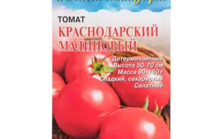 КРАСНОДАРСКИЙ МАЛИНОВЫЙ