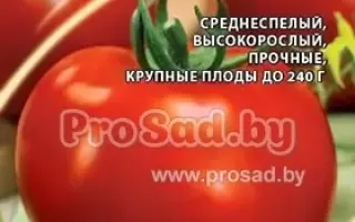 РАЙСКОЕ ЯБЛОКО