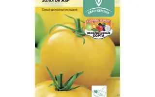 ЗОЛОТОЙ ЖАР