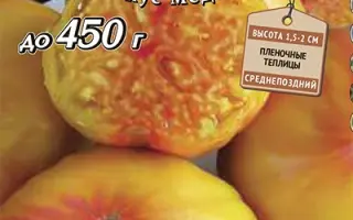 МЕДОВЫЙ САЛЮТ