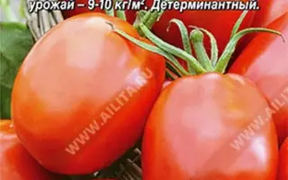 КРАСНЫЙ БУТОН