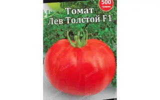 ЛЕВ ТОЛСТОЙ