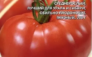 ЗВЕЗДА СИБИРИ