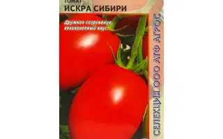 ИСКРА СИБИРИ