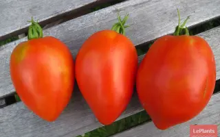 ПЕРЕБУДОВА