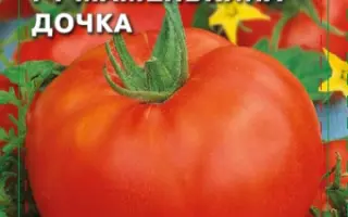 МАМЕНЬКИНА ДОЧКА