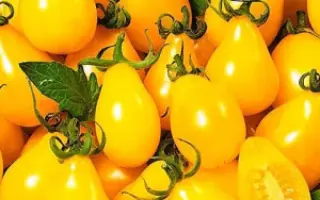 ЗОЛОТЫЕ КОЛОКОЛА