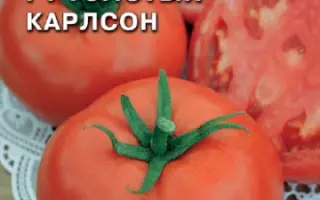 ТОЛСТЫЙ КАРЛСОН