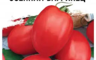 ОСЕННИЙ БАГРЯНЕЦ