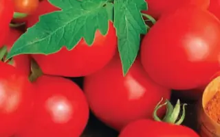 КРИВЯНОЧКА