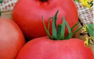 ПОДАРОК ТЕЩЕ