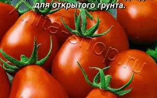 ГРУШКА КРАСНАЯ