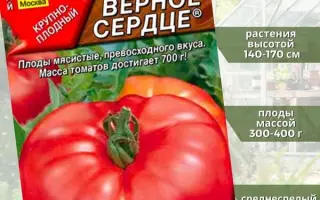 ВЕРНОЕ СЕРДЦЕ