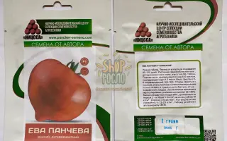 ЕВА ПАНЧЕВА