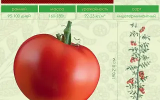 КАРИНА ПАНЧЕВА