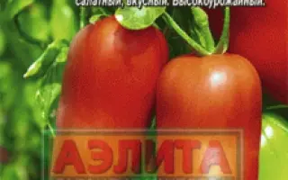 СИБИРСКИЙ КАЗАК