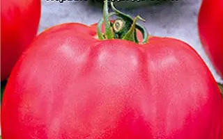 МАЛИНОВЫЙ ВЕЛИКАН