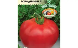 ГОРОДНИЧИЙ