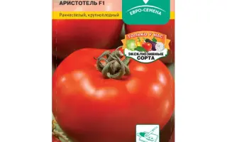 АРИСТОТЕЛЬ