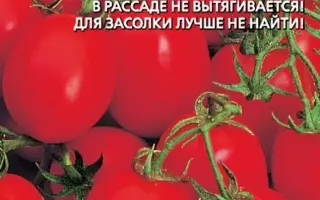 СУПЕРГОЛ МАЛИНОВЫЙ