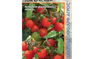 ТОМ КРАСНЫЙ